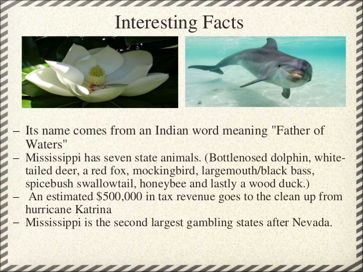 mississippi mississippi