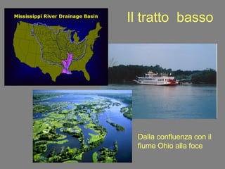 Il tratto  basso Dalla confluenza con il fiume Ohio alla foce 