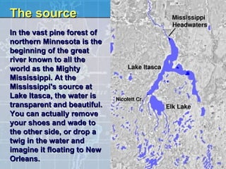 The source In the vast pine forest of northern Minnesota is the beginning of the great river known to all the world as the Mighty Mississippi. At the Mississippi's source at Lake Itasca, the water is transparent and beautiful. You can actually remove your shoes and wade to the other side, or drop a twig in the water and imagine it floating to New Orleans.   