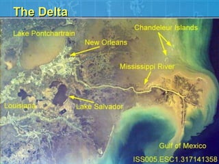 The Delta 
