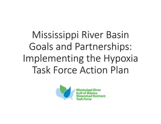 Mississippi River Basin 
Goals and Partnerships: 
Implementing the Hypoxia 
Task Force Action Plan
 