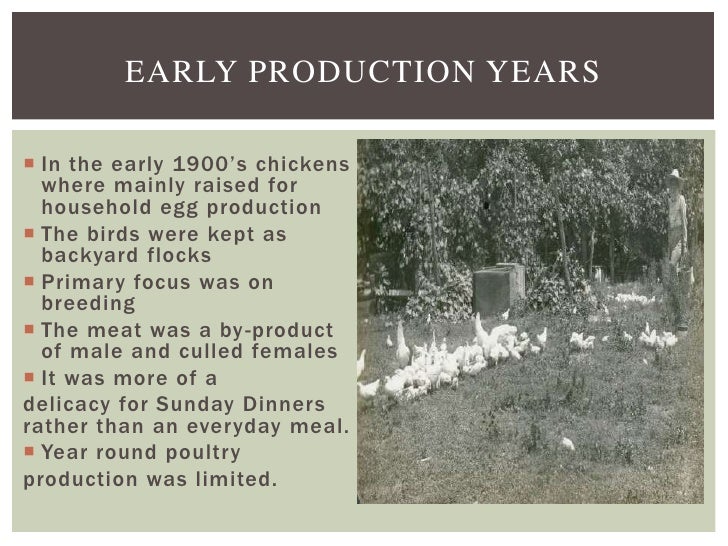 History of the Mississippi Poultry Industry