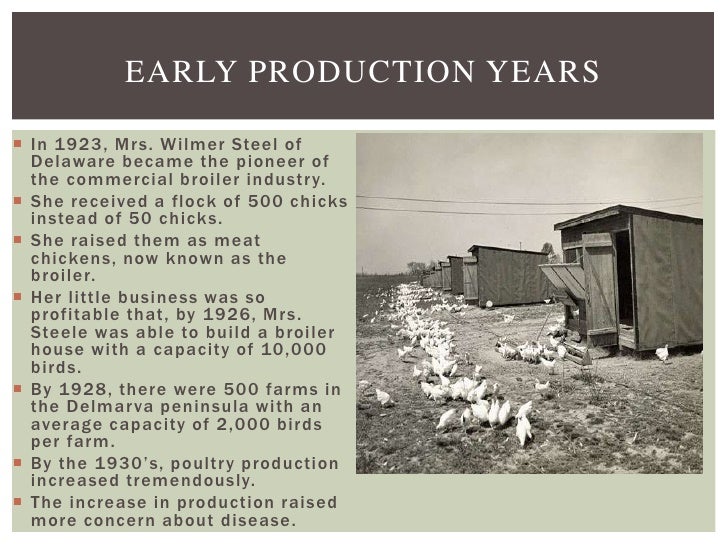 History of the Mississippi Poultry Industry