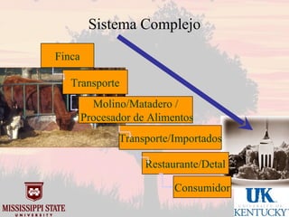 Mississippi state university uk market oriented programs.1012 sp