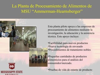 Mississippi state university uk market oriented programs.1012 sp