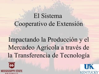 Mississippi state university uk market oriented programs.1012 sp