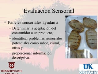 Mississippi state university uk market oriented programs.1012 sp