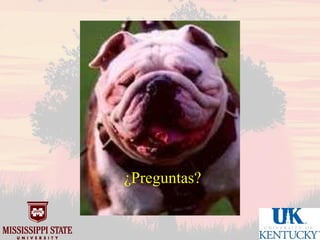 Mississippi state university uk market oriented programs.1012 sp