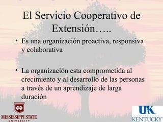 Mississippi state university uk market oriented programs.1012 sp