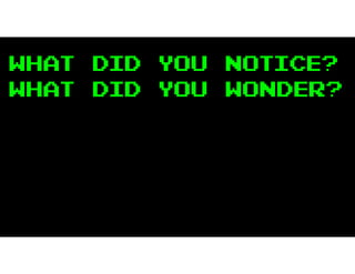 What did you notice?
What did you wonder?
 