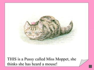 THIS is a Pussy called Miss Moppet, she thinks she has heard a mouse! 