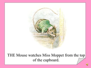THE Mouse watches Miss Moppet from the top of the cupboard. 