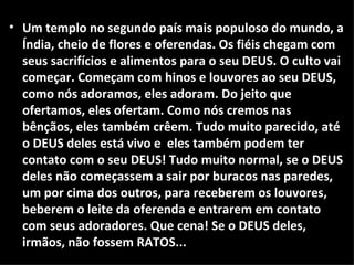 Um templo no segundo país mais populoso do mundo, a Índia, cheio de flores e oferendas. Os fiéis chegam com seus sacrifícios e alimentos para o seu DEUS. O culto vai começar. Começam com hinos e louvores ao seu DEUS, como nós adoramos, eles adoram. Do jeito que ofertamos, eles ofertam. Como nós cremos nas bênçãos, eles também crêem. Tudo muito parecido, até o DEUS deles está vivo e  eles também podem ter contato com o seu DEUS! Tudo muito normal, se o DEUS deles não começassem a sair por buracos nas paredes, um por cima dos outros, para receberem os louvores, beberem o leite da oferenda e entrarem em contato com seus adoradores. Que cena! Se o DEUS deles, irmãos, não fossem RATOS... 