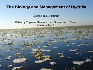 The Biology and Management of Hydrilla

                  Michael D. Netherland

    US Army Engineer Research and Development Center
                     Gainesville, FL




                                               BUILDING STRONG®
 