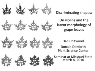 Discriminating shapes:
On violins and the
latent morphology of
grape leaves
Dan Chitwood
Donald Danforth
Plant Science Center
Seminar at Missouri State
March 4, 2016
 