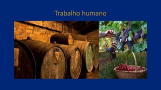 Trabalho humano
 