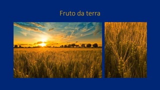 Fruto da terra
 