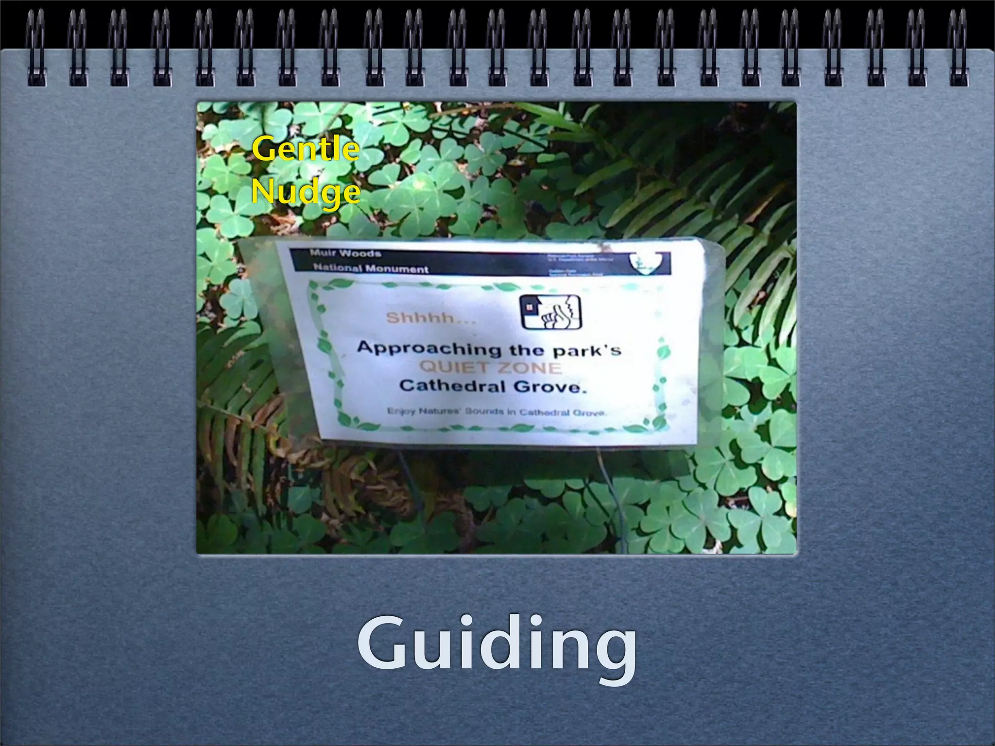 Gentle
Nudge




     Guiding
 