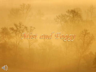 Mist and foggy (v.m.)