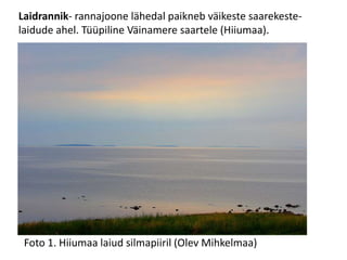 Laidrannik- rannajoone lähedal paikneb väikeste saarekeste- laidude ahel. Tüüpiline Väinamere saartele (Hiiumaa). Foto 1. Hiiumaa laiud silmapiiril (Olev Mihkelmaa) 