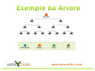 meucolibri




             www.meucolibri.com
 