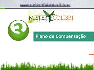 www.conquistacolibri.mistercolibri.com




3          Plano de Compensação
 