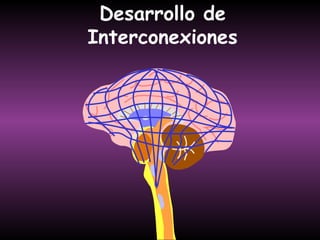 Desarrollo de
Interconexiones
 
