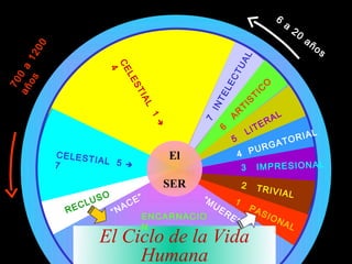 6
                                                                                                    a
                                                                                                        20
                                                                                                             añ
                                                                                                                  os
        00
  os 12




                                                                               L
                                                                       UA
                             CE
añ 0 a




                              4




                                                                      CT
                                L      ES
 70




                                                                  LE



                                                                                     O
                                                                                   IC
                                            TI




                                                                 TE


                                                                                   T
                                             AL




                                                                               S
                                                             IN


                                                                           TI
                                                                                                L




                                                                       R
                                                                                            A


                                                 1
                                                                                         ER




                                                                      A
                                                            7
                                                  
                                                                                   LIT                        L




                                                                 6
                                                                                                        IA
                                                                       5
                                                                                       G       A    TOR
             CELEST                                                            4   PUR
                    IAL 5                             El
             7                         
                                                                               3     IM P R ES IO N A L
                                                      SER                      2     TRIVI
                             O                                                                      AL
                      L   US                E”              “M             1
               RE
                  C
                                     N AC                        UE                PA
                                 “           ENCARNACIO               RE                 SIO
                                                                           ”                   NA
                                             N                                                          L
                           El Ciclo de la Vida
                                Humana
 