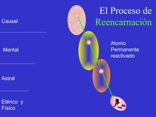 El Proceso de
Causal      Reencarnación

               Atomo
Mental         Permanente
               reactivado



Astral



Etérico y
Físico
 