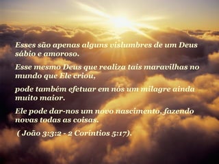 Esses são apenas alguns vislumbres de um Deus
sábio e amoroso.
Esse mesmo Deus que realiza tais maravilhas no
mundo que Ele criou,
pode também efetuar em nós um milagre ainda
muito maior.
Ele pode dar-nos um novo nascimento, fazendo
novas todas as coisas.
( João 3:3:2 - 2 Coríntios 5:17).
 