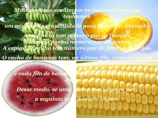 Muitas coisas acontecem na natureza sem que
                     tenhamos
um mínimo de sensibilidade para perceber. Exemplo:
       A melancia tem número par de franjas.
       A laranja possui número par de gomos.
A espiga de milho tem número par de fileiras de grãos.
O cacho de bananas tem, na última fila, número par de
                     bananas,
    e cada fila de bananas tem uma a menos que a
                       anterior.
    Desse modo, se uma fileira tem número par,
           a seguinte terá número ímpar.
 