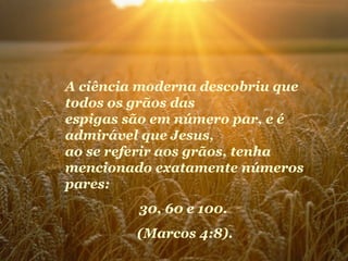 A ciência moderna descobriu que
todos os grãos das
espigas são em número par, e é
admirável que Jesus,
ao se referir aos grãos, tenha
mencionado exatamente números
pares:
         30, 60 e 100.
         (Marcos 4:8).
 