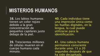 MISTERIOS HUMANOS
40. Cada individuo tiene
una impresión única como
las huellas digitales, en la
lengua, la cual puede
utilizarse para la
identificación.
41. Una cabeza humana
permanece consciente
durante unos 15 a 20
segundos después de que
ha sido decapitada.
38. Los labios humanos
tienen un color rojizo
debido a la gran
concentración de
pequeños capilares justo
debajo de la piel.
39. Trescientos millones
de células mueren en el
cuerpo humano cada
minuto.
 
