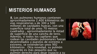 MISTERIOS HUMANOS
8. Los pulmones humanos contienen
aproximadamente 2.400 kilómetros de
vías respiratorias y de 300 a 500
millones de cavidades huecas, con una
superficie total de unos 70 metros
cuadrados , aproximadamente la mitad
de superficie de una cancha de tenis.
Además, si todos los capilares que
rodean las cavidades pulmonares fueran
desenrollados y puestos de extremo a
extremo, se extenderían unos 992
kilómetros . Otra novedad, su pulmón
izquierdo es más pequeño que su
pulmón derecho para dejar espacio a su
 