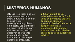 MISTERIOS HUMANOS
22. La vida útil de un
cabello humano es de 3 a 7
años en promedio; cada día
la persona pierde de
promedio 60-100 hebras de
cabello. Pero no te
preocupes, debes perder
más del 50% de la cabellera
antes de que sea evidente la
calvicie.
21. Las tres cosas que las
mujeres embarazadas
sueñan durante su primer
trimestre son:
ranas, gusanos y plantas
en maceta. Los científicos
no tienen ni idea de por
qué esto es así, pero lo
atribuyen al creciente
desequilibrio de las
hormonas en el cuerpo
durante el embarazo.
 