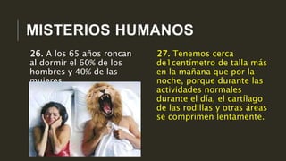 MISTERIOS HUMANOS
27. Tenemos cerca
de1centímetro de talla más
en la mañana que por la
noche, porque durante las
actividades normales
durante el día, el cartílago
de las rodillas y otras áreas
se comprimen lentamente.
26. A los 65 años roncan
al dormir el 60% de los
hombres y 40% de las
mujeres.
 