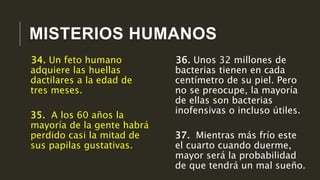 MISTERIOS HUMANOS
36. Unos 32 millones de
bacterias tienen en cada
centímetro de su piel. Pero
no se preocupe, la mayoría
de ellas son bacterias
inofensivas o incluso útiles.
37. Mientras más frío este
el cuarto cuando duerme,
mayor será la probabilidad
de que tendrá un mal sueño.
34. Un feto humano
adquiere las huellas
dactilares a la edad de
tres meses.
35. A los 60 años la
mayoría de la gente habrá
perdido casi la mitad de
sus papilas gustativas.
 