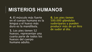 MISTERIOS HUMANOS
6. Los pies tienen
500.000 glándulas
sudoríparas y pueden
producir más de un litro
de sudor al día.
4. El músculo más fuerte
en el cuerpo humano es la
lengua y el hueso más
duro es la mandíbula.
5. Los pies tienen 52
huesos, representan una
cuarta parte de todos los
huesos del cuerpo
humano adulto.
 