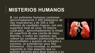 MISTERIOS HUMANOS
8. Los pulmones humanos contienen
aproximadamente 2.400 kilómetros de
vías respiratorias y de 300 a 500
millones de cavidades huecas, con una
superficie total de unos 70 metros
cuadrados , aproximadamente la mitad
de superficie de una cancha de tenis.
Además, si todos los capilares que
rodean las cavidades pulmonares fueran
desenrollados y puestos de extremo a
extremo, se extenderían unos 992
kilómetros . Otra novedad, su pulmón
izquierdo es más pequeño que su
pulmón derecho para dejar espacio a su
 