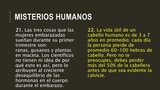 MISTERIOS HUMANOS
22. La vida útil de un
cabello humano es de 3 a 7
años en promedio; cada día
la persona pierde de
promedio 60-100 hebras de
cabello. Pero no te
preocupes, debes perder
más del 50% de la cabellera
antes de que sea evidente la
calvicie.
21. Las tres cosas que las
mujeres embarazadas
sueñan durante su primer
trimestre son:
ranas, gusanos y plantas
en maceta. Los científicos
no tienen ni idea de por
qué esto es así, pero lo
atribuyen al creciente
desequilibrio de las
hormonas en el cuerpo
durante el embarazo.
 