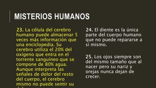 MISTERIOS HUMANOS
24. El diente es la única
parte del cuerpo humano
que no puede repararse a
sí mismo.
25. Los ojos siempre son
del mismo tamaño que al
nacer pero su nariz y
orejas nunca dejan de
crecer.
23. La célula del cerebro
humano puede almacenar 5
veces más información que
una enciclopedia. Su
cerebro utiliza el 20% del
oxígeno que entra en el
torrente sanguíneo que se
compone de 80% agua.
Aunque interpreta las
señales de dolor del resto
del cuerpo, el cerebro
mismo no puede sentir su
 