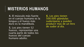 MISTERIOS HUMANOS
6. Los pies tienen
500.000 glándulas
sudoríparas y pueden
producir más de un litro
de sudor al día.
4. El músculo más fuerte
en el cuerpo humano es la
lengua y el hueso más
duro es la mandíbula.
5. Los pies tienen 52
huesos, representan una
cuarta parte de todos los
huesos del cuerpo
humano adulto.
 