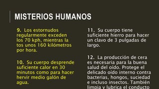 MISTERIOS HUMANOS
11. Su cuerpo tiene
suficiente hierro para hacer
un clavo de 3 pulgadas de
largo.
12. La producción de cera
es necesaria para la buena
salud del oído. Protege el
delicado oído interno contra
bacterias, hongos, suciedad
e incluso insectos. También
limpia y lubrica el conducto
9. Los estornudos
regularmente exceden
los 70 kph, mientras la
tos unos 160 kilómetros
por hora.
10. Su cuerpo desprende
suficiente calor en 30
minutos como para hacer
hervir medio galón de
agua.
 