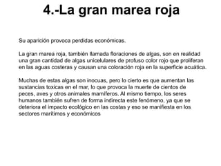 4.-La gran marea roja

Su aparición provoca perdidas económicas.

La gran marea roja, también llamada floraciones de algas, son en realidad
una gran cantidad de algas unicelulares de profuso color rojo que proliferan
en las aguas costeras y causan una coloración roja en la superficie acuática.

Muchas de estas algas son inocuas, pero lo cierto es que aumentan las
sustancias toxicas en el mar, lo que provoca la muerte de cientos de
peces, aves y otros animales mamíferos. Al mismo tiempo, los seres
humanos también sufren de forma indirecta este fenómeno, ya que se
deteriora el impacto ecológico en las costas y eso se manifiesta en los
sectores marítimos y económicos
 