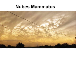 Nubes Mammatus
 
