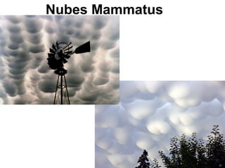 Nubes Mammatus
 