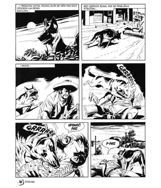 Mister NO lib73 - Veracruz