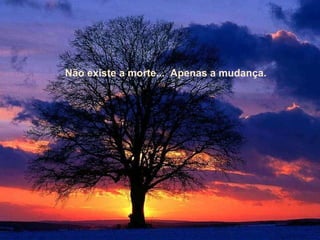 Não existe a morte...  Apenas a mudança. Não existe a morte...  Apenas a mudança. 