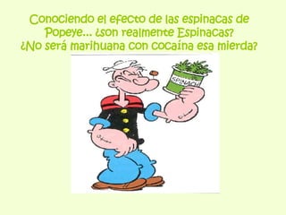 Conociendo el efecto de las espinacas de Popeye... ¿son realmente Espinacas? ¿No será marihuana con cocaína esa mierda? 