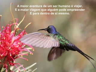 Deus te tornou responsável por um ser humano, que és tu.  Deves trazer felicidade e liberdade para ti mesmo.  E só então poderás compartilhar a vida verdadeira com todos os outros.   A maior aventura de um ser humano é viajar, E a maior viagem que alguém pode empreender É para dentro de si mesmo. 